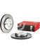 Brembo Premium UV Coated Brake Rotor 09.D905.13 Brembo - Micks Gone Bush