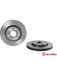 Brembo Disc Brake Rotor (Single) 330mm 09.N234.11 Brembo - Micks Gone Bush