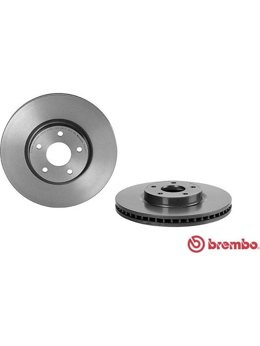 Brembo Disc Brake Rotor (Single) 300mm 09.N255.21 Brembo - Micks Gone Bush