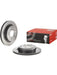 Brembo Disc Brake Rotor (Single) 300mm 09.R121.11 Brembo - Micks Gone Bush