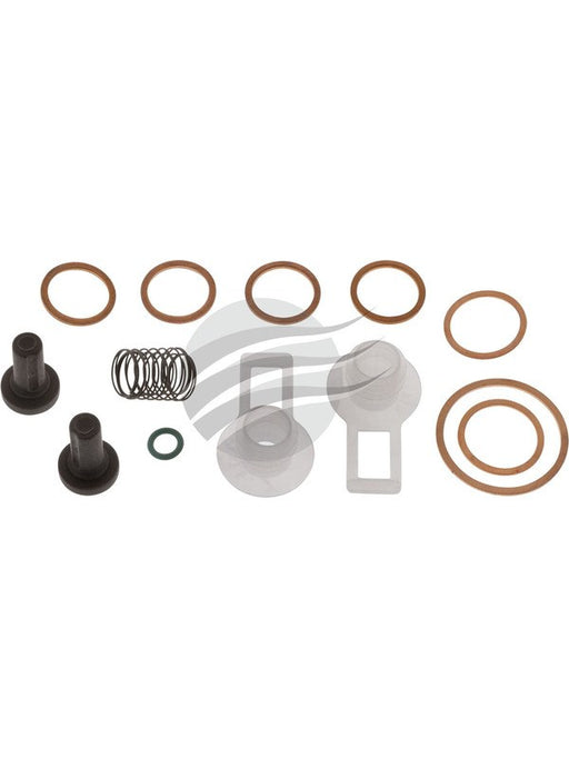 Bosch Parts Kit For A Delivery Pump 2447010004 BOSCH - Micks Gone Bush