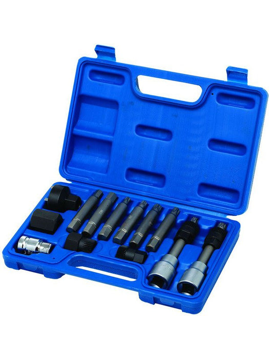 Toledo Alternator Bit Set 12 Piece For Alternator Service 302005 TOLEDO - Micks Gone Bush