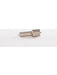 Bosch Nozzle (433171432) 0433171432 BOSCH - Micks Gone Bush