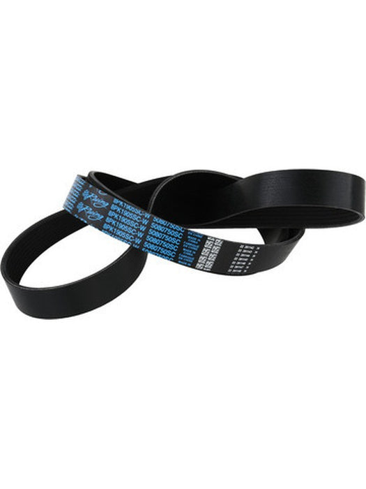 Dayco Supercharger Drive Belt 75in 8-Rib Fits Ford Mustang 03-04 5080750SC Supercharger Drive Belts Dayco - Micks Gone Bush
