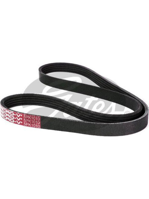 Dayco 5050398 W Profile Polyrib Belt 5PK1010 Dayco - Micks Gone Bush