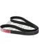 Dayco 5050398 W Profile Polyrib Belt 5PK1010 Dayco - Micks Gone Bush