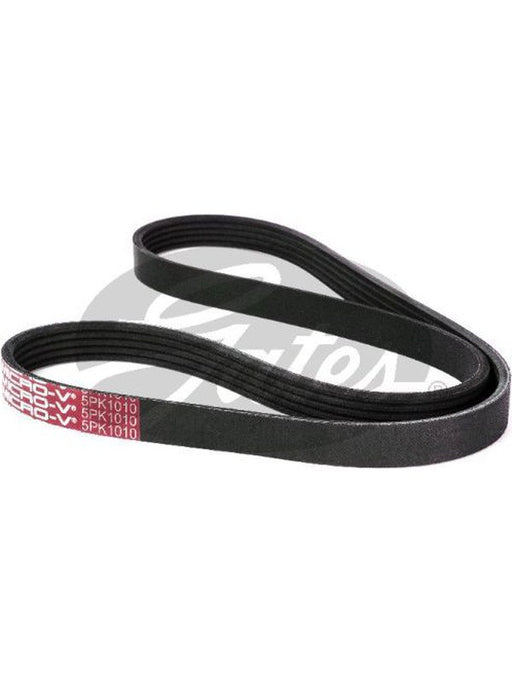 Gates Micro-V Ribbed Belt 5PK1010 Gates - Micks Gone Bush