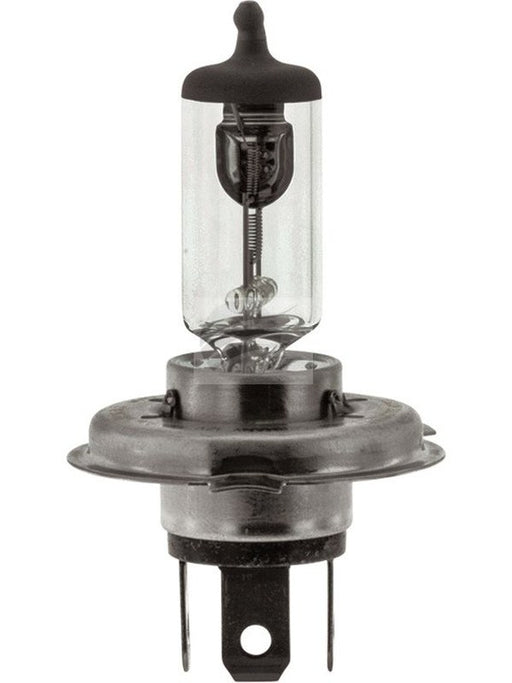 Osram H4 Rally Halogen Globe 12V 100/90W [ref Narva 48901N] Pack 1 62204SBP Osram - Micks Gone Bush