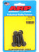 ARP Bolt Kit 12PT M6 x 1.00 x 25mm UHL w/ 8mm Socket Stainless 5pk 670-1002 ARP - Micks Gone Bush