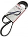 GMB Premium EPDM Drive Belt 6PK1790 GMB - Micks Gone Bush