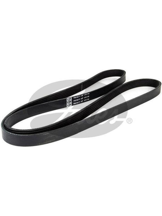 Dayco 5060705 W Profile Polyrib Belt 6PK1790 Dayco - Micks Gone Bush