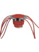 MSD Distributor Cap & Rotor Kit S/S Terminal Clamp-Down Pro-V8 Kit (MSD-7445) 7445 MSD - Micks Gone Bush