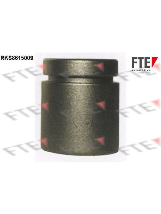 Valeo FTE Brake Caliper Piston 9313004 Brake Caliper Replacement Components Valeo - Micks Gone Bush