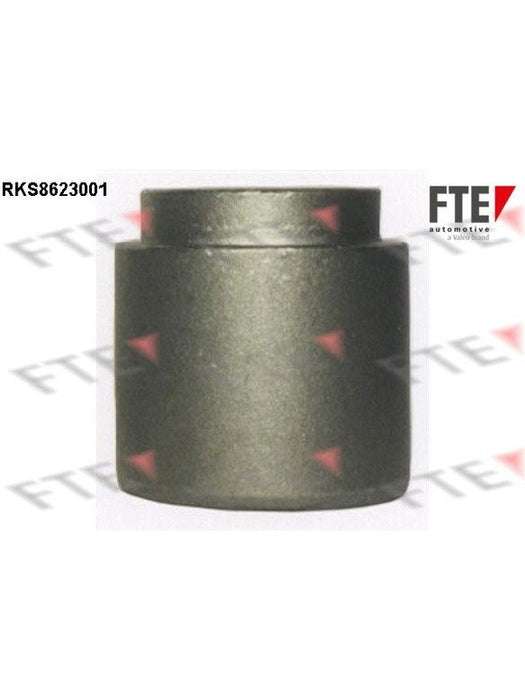 Valeo FTE Brake Caliper Piston 9313012 Brake Caliper Replacement Components Valeo - Micks Gone Bush