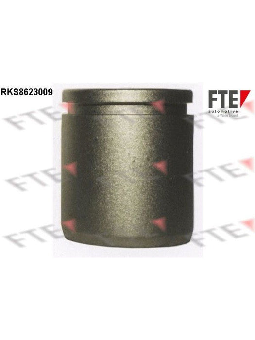 Valeo FTE Brake Caliper Piston 9313013 Brake Caliper Replacement Components Valeo - Micks Gone Bush