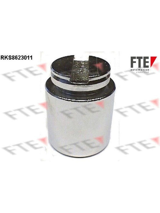 Valeo FTE Brake Caliper Piston 9313014 Brake Caliper Replacement Components Valeo - Micks Gone Bush