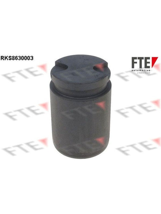 Valeo FTE Brake Caliper Piston 9313025 Brake Caliper Replacement Components Valeo - Micks Gone Bush