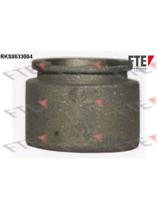 Valeo FTE Brake Caliper Piston 9313033 Brake Caliper Replacement Components Valeo - Micks Gone Bush