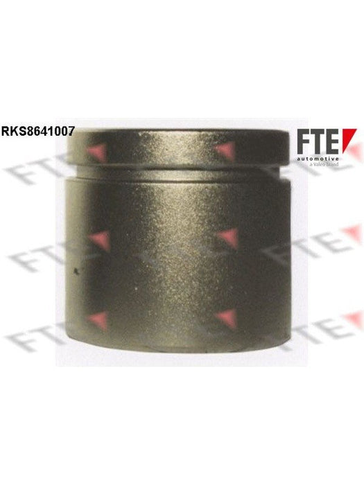 Valeo FTE Brake Caliper Piston 9313066 Brake Caliper Replacement Components Valeo - Micks Gone Bush