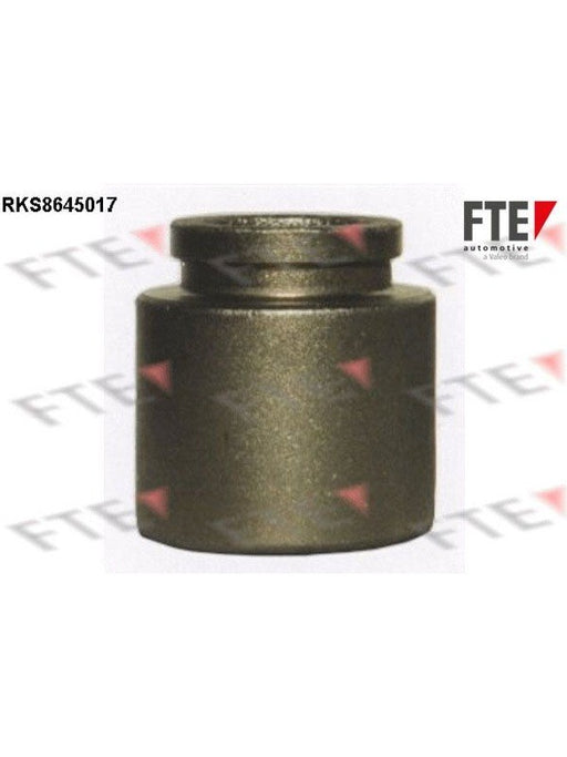 Valeo FTE Brake Caliper Piston 9313070 Brake Caliper Replacement Components Valeo - Micks Gone Bush