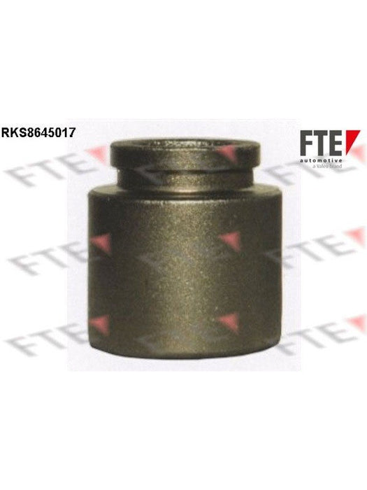 Valeo FTE Brake Caliper Piston 9313070 Brake Caliper Replacement Components Valeo - Micks Gone Bush