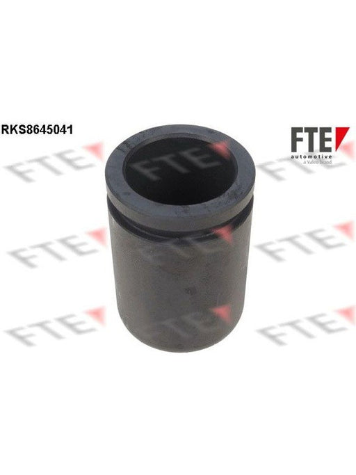 Valeo FTE Brake Caliper Piston 9313074 Brake Caliper Replacement Components Valeo - Micks Gone Bush