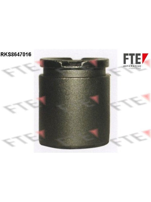 Valeo FTE Brake Caliper Piston 9313078 Brake Caliper Replacement Components Valeo - Micks Gone Bush