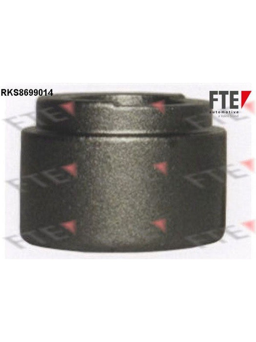 Valeo FTE Brake Caliper Piston 9313092 Brake Caliper Replacement Components Valeo - Micks Gone Bush
