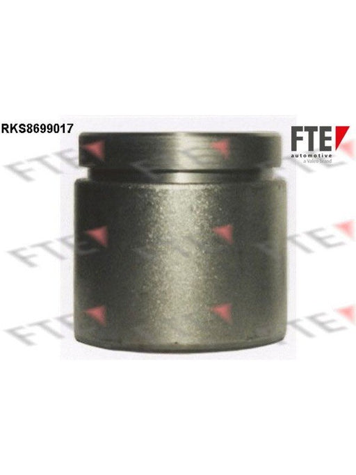 Valeo FTE Brake Caliper Piston 9313094 Brake Caliper Replacement Components Valeo - Micks Gone Bush