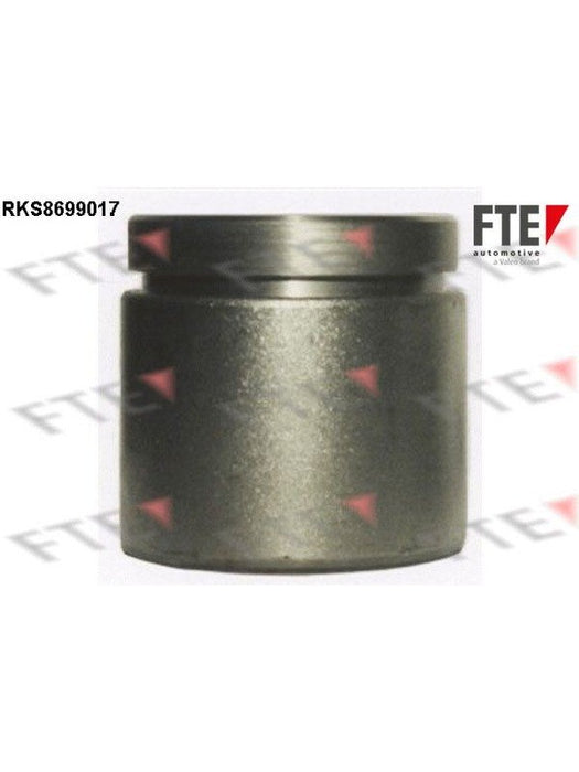 Valeo FTE Brake Caliper Piston 9313094 Brake Caliper Replacement Components Valeo - Micks Gone Bush