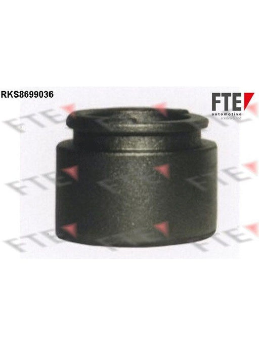 Valeo FTE Brake Caliper Piston 9313099 Brake Caliper Replacement Components Valeo - Micks Gone Bush