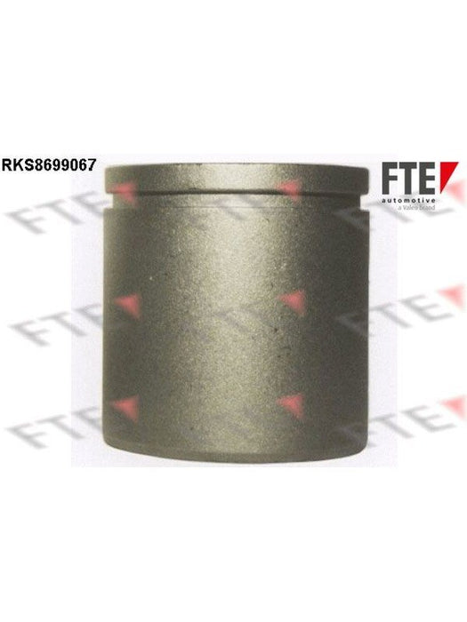 Valeo FTE Brake Caliper Piston 9313106 Brake Caliper Replacement Components Valeo - Micks Gone Bush