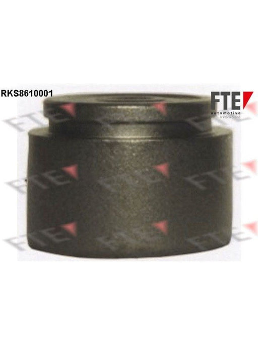 Valeo FTE Brake Caliper Piston 9313112 Brake Caliper Replacement Components Valeo - Micks Gone Bush