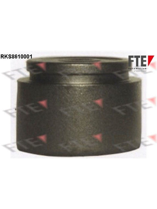 Valeo FTE Brake Caliper Piston 9313112 Brake Caliper Replacement Components Valeo - Micks Gone Bush
