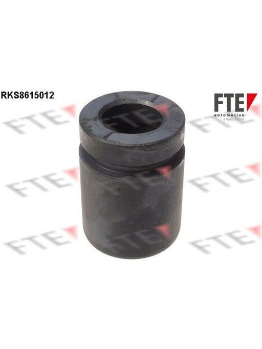 Valeo FTE Brake Caliper Piston 9313131 Brake Caliper Replacement Components Valeo - Micks Gone Bush