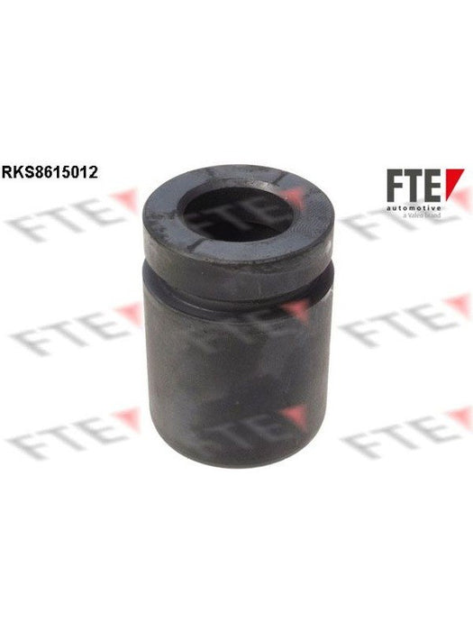 Valeo FTE Brake Caliper Piston 9313131 Brake Caliper Replacement Components Valeo - Micks Gone Bush