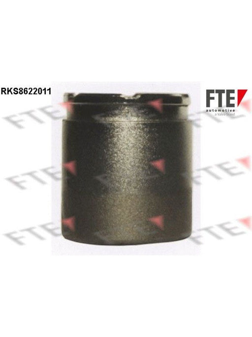 Valeo FTE Brake Caliper Piston 9313173 Brake Caliper Replacement Components Valeo - Micks Gone Bush