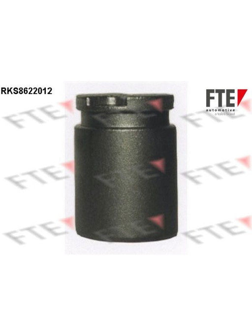 Valeo FTE Brake Caliper Piston 9313174 Brake Caliper Replacement Components Valeo - Micks Gone Bush