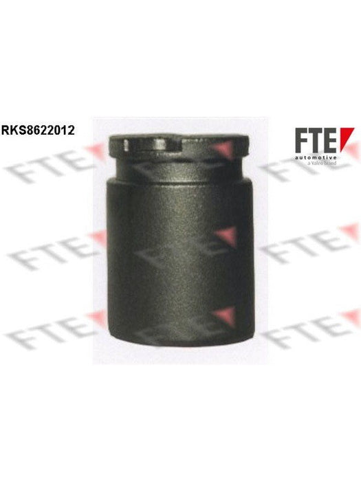 Valeo FTE Brake Caliper Piston 9313174 Brake Caliper Replacement Components Valeo - Micks Gone Bush
