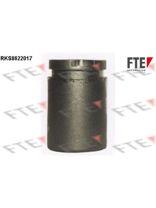 Valeo FTE Brake Caliper Piston 9313178 Brake Caliper Replacement Components Valeo - Micks Gone Bush