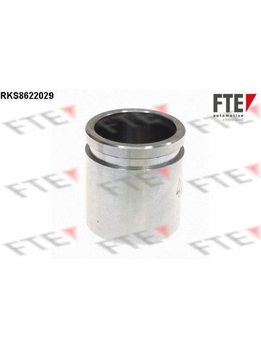 Valeo FTE Brake Caliper Piston 9313187 Brake Caliper Replacement Components Valeo - Micks Gone Bush