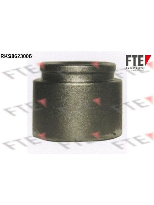 Valeo FTE Brake Caliper Piston 9313193 Brake Caliper Replacement Components Valeo - Micks Gone Bush