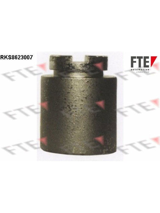 Valeo FTE Brake Caliper Piston 9313194 Brake Caliper Replacement Components Valeo - Micks Gone Bush