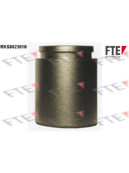 Valeo FTE Brake Caliper Piston 9313196 Brake Caliper Replacement Components Valeo - Micks Gone Bush