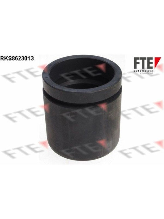 Valeo FTE Brake Caliper Piston 9313197 Brake Caliper Replacement Components Valeo - Micks Gone Bush