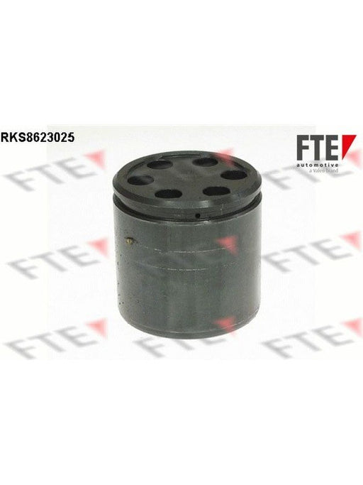 Valeo FTE Brake Caliper Piston 9313208 Brake Caliper Replacement Components Valeo - Micks Gone Bush