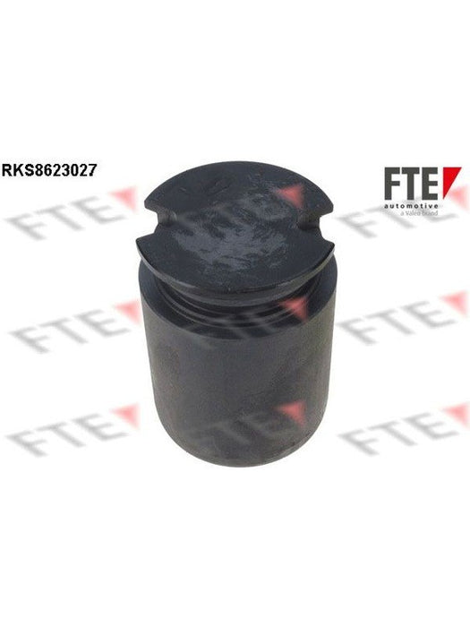 Valeo FTE Brake Caliper Piston 9313209 Brake Caliper Replacement Components Valeo - Micks Gone Bush