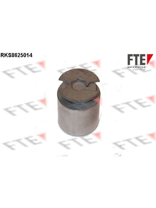 Valeo FTE Brake Caliper Piston 9313221 Brake Caliper Replacement Components Valeo - Micks Gone Bush