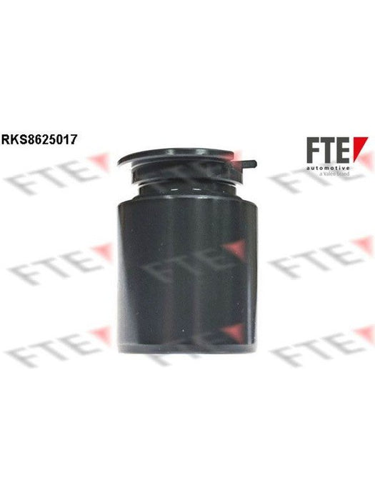 Valeo FTE Brake Caliper Piston 9313224 Brake Caliper Replacement Components Valeo - Micks Gone Bush