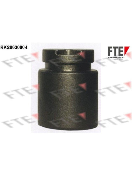 Valeo FTE Brake Caliper Piston 9313242 Brake Caliper Replacement Components Valeo - Micks Gone Bush